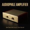 D5Pro Integrated Stereo Amplifier – 120W×2 Hi-Fi Audio Amp