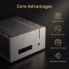 BRZHIFI FM711END Power Amp - True Balanced Swiss FM711 Replica