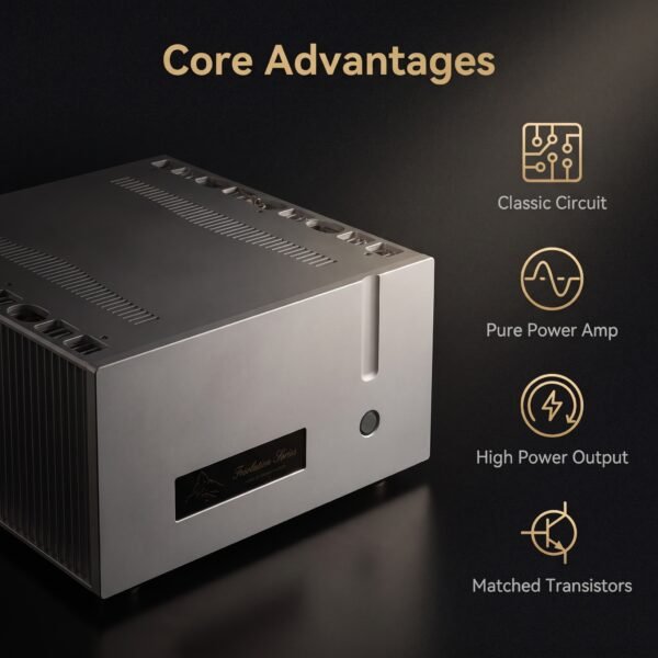 BRZHIFI FM711END Power Amp - True Balanced Swiss FM711 Replica