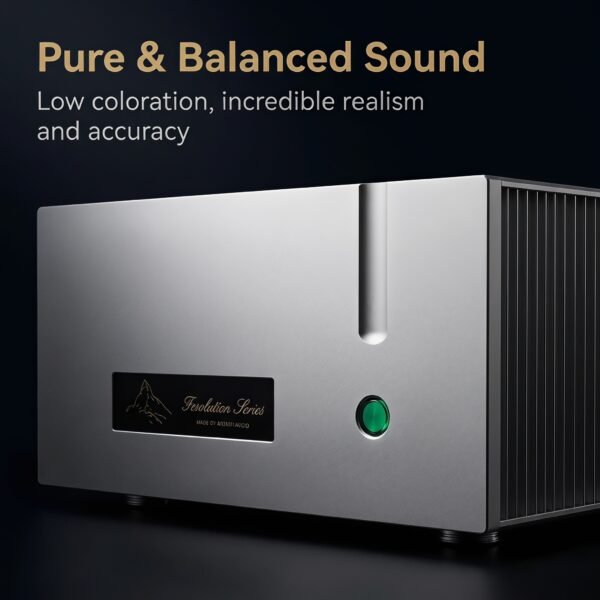 BRZHIFI FM711END Power Amp - True Balanced Swiss FM711 Replica