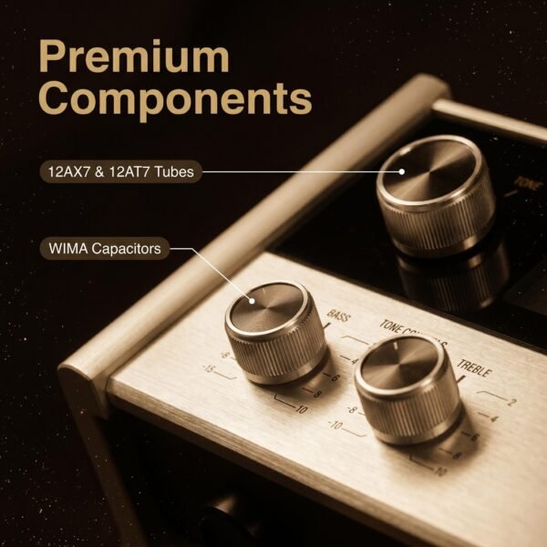 03_细节图_发烧级元器件 C22 Stereo Tube Preamplifier | Reference Circuit MM/MC Phono