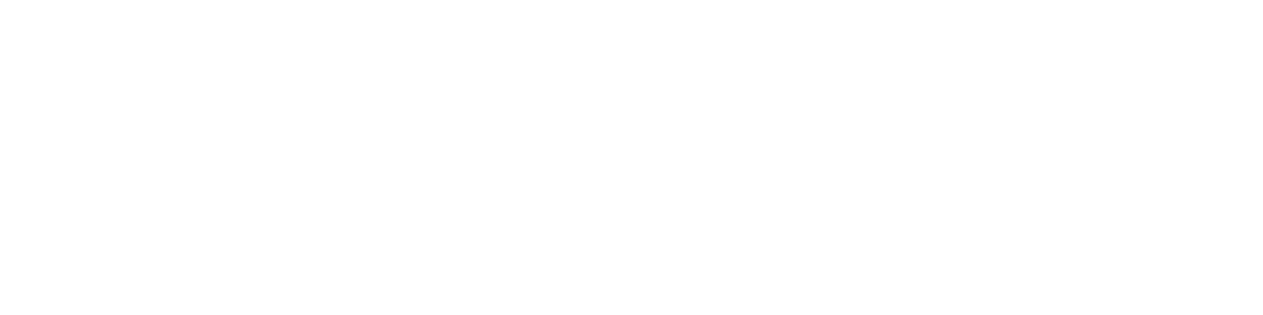 echozenithaudio.com