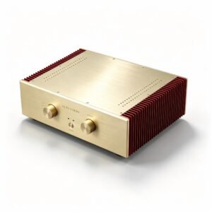 D5Pro Integrated Stereo Amplifier – 120W×2 Hi-Fi Audio Amp