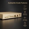 BRZHIFI FM255 Stereo Preamplifier | Reference Swiss FM Circuit