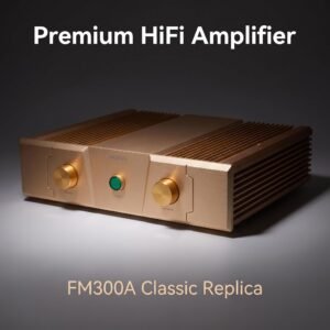 BRZHIFI FM300A Gold Edition High-End Stereo Power Amplifier - 150W
