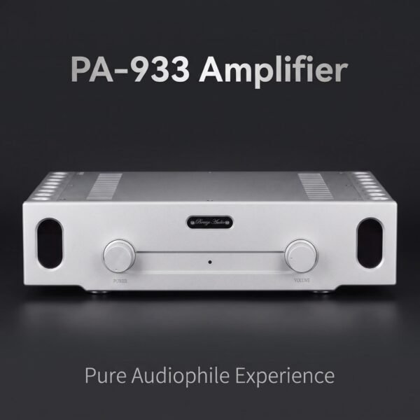 BRZHIFI PA-933 Class AB Stereo Power Amplifier - 120W x 2 HiFi Audio