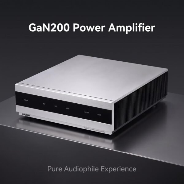 BRZHIFI GaN200 Infineon GaN Power Amplifier Ultra-Low Distortion