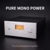 BERLASSE TS-15 250W Monoblock Power Amplifier for Audiophile