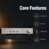 BERLASSE MT-10 FET Preamp - Dual 1794 DAC & Bluetooth Preamplifier