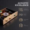 BRZHIFI FM300A Power Amp - Replica Swiss FM Acoustics Circuit