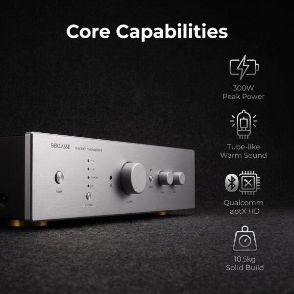 BERLASSE TS-2 Integrated Stereo Amplifier with Bluetooth 5.0 / 200W*2
