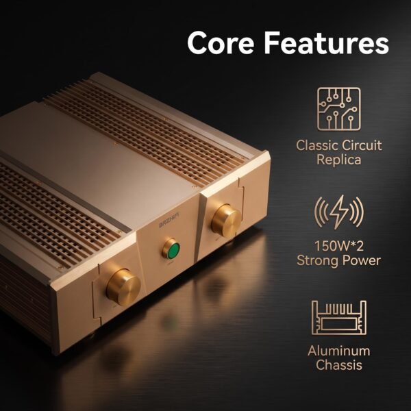 BRZHIFI FM300A Gold Edition High-End Stereo Power Amplifier - 150W