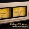 BRZHIFI C-245 Balanced Stereo Preamplifier – Dual VU Meters