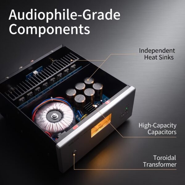 BERLASSE TS-15 250W Monoblock Power Amplifier for Audiophile