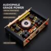BRZHIFI FM300A Power Amp - Replica Swiss FM Acoustics Circuit