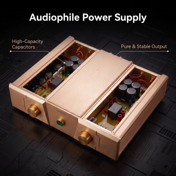 BRZHIFI FM300A Gold Edition High-End Stereo Power Amplifier - 150W