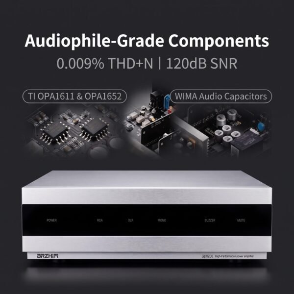 BRZHIFI GaN200 Infineon GaN Power Amplifier Ultra-Low Distortion