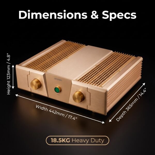 BRZHIFI FM300A Gold Edition High-End Stereo Power Amplifier - 150W