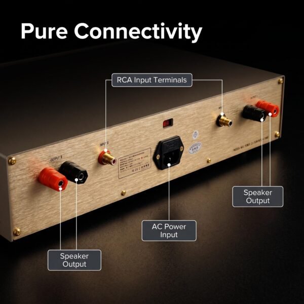 BRZHIFI FM300A Power Amp - Replica Swiss FM Acoustics Circuit