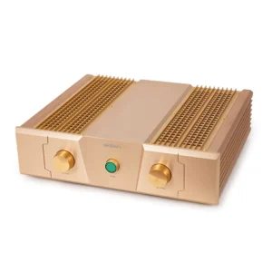 BRZHIFI FM300A Gold Edition High-End Stereo Power Amplifier - 150W