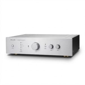 BERLASSE TS-2 Integrated Stereo Amplifier with Bluetooth 5.0 / 200W*2