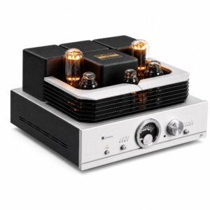Muzishare R100 Pure Class A Tube Amplifier | 300B Driver for 845/805/211