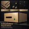 Balanced Monoblock Power Amplifier BRZHIFI 711MK2 280W Audiophile