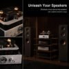 Muzishare R100 Pure Class A Tube Amplifier | 300B Driver for 845/805/211