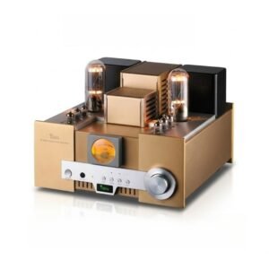 MS-650B 845 Vacuum Tube Power Amplifier | High-End Hi-Fi Stereo Tube Amp